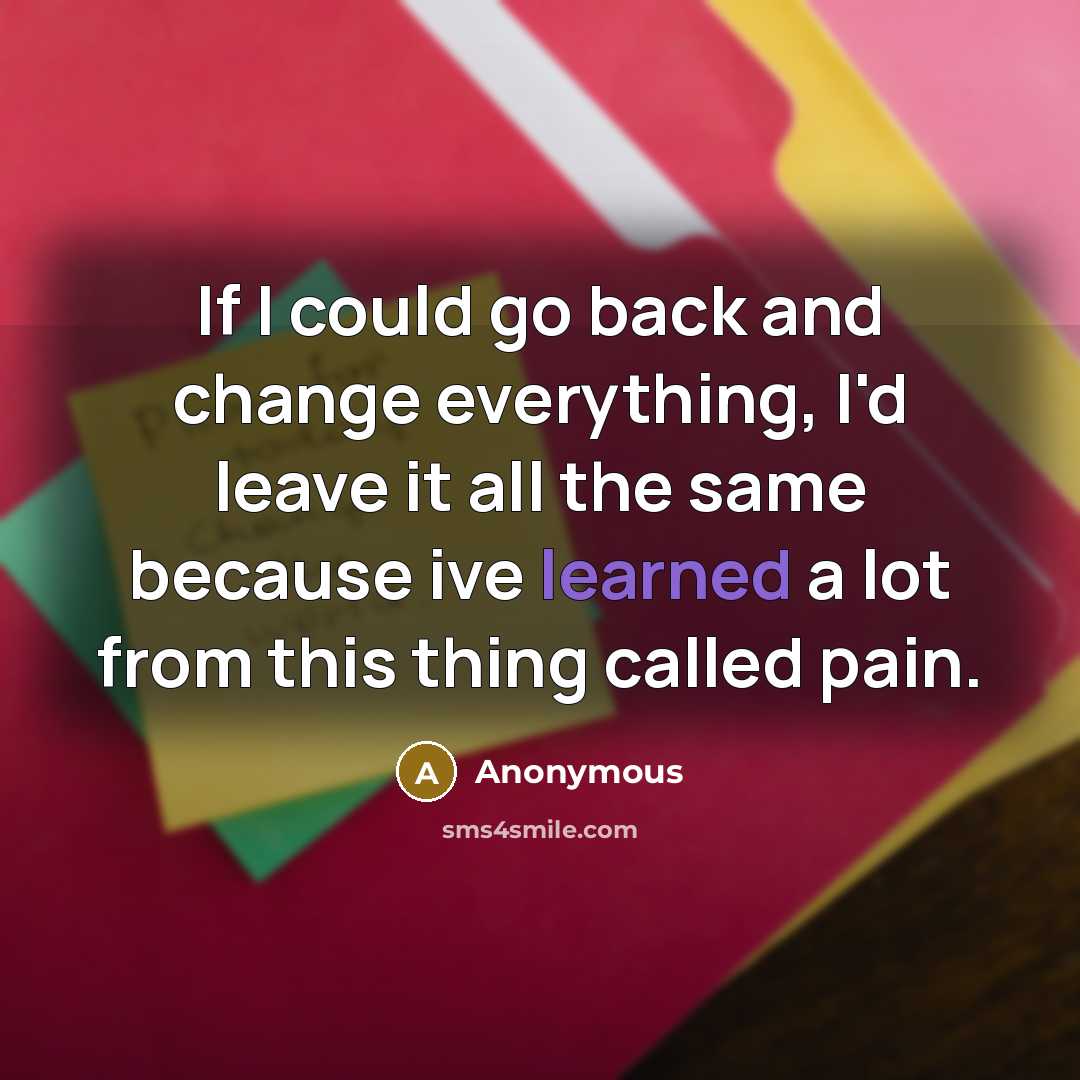 “If I could go back and change everything, I'd leave it all the same because ive learned a lot from this thing called pain.” quote by Anonymous