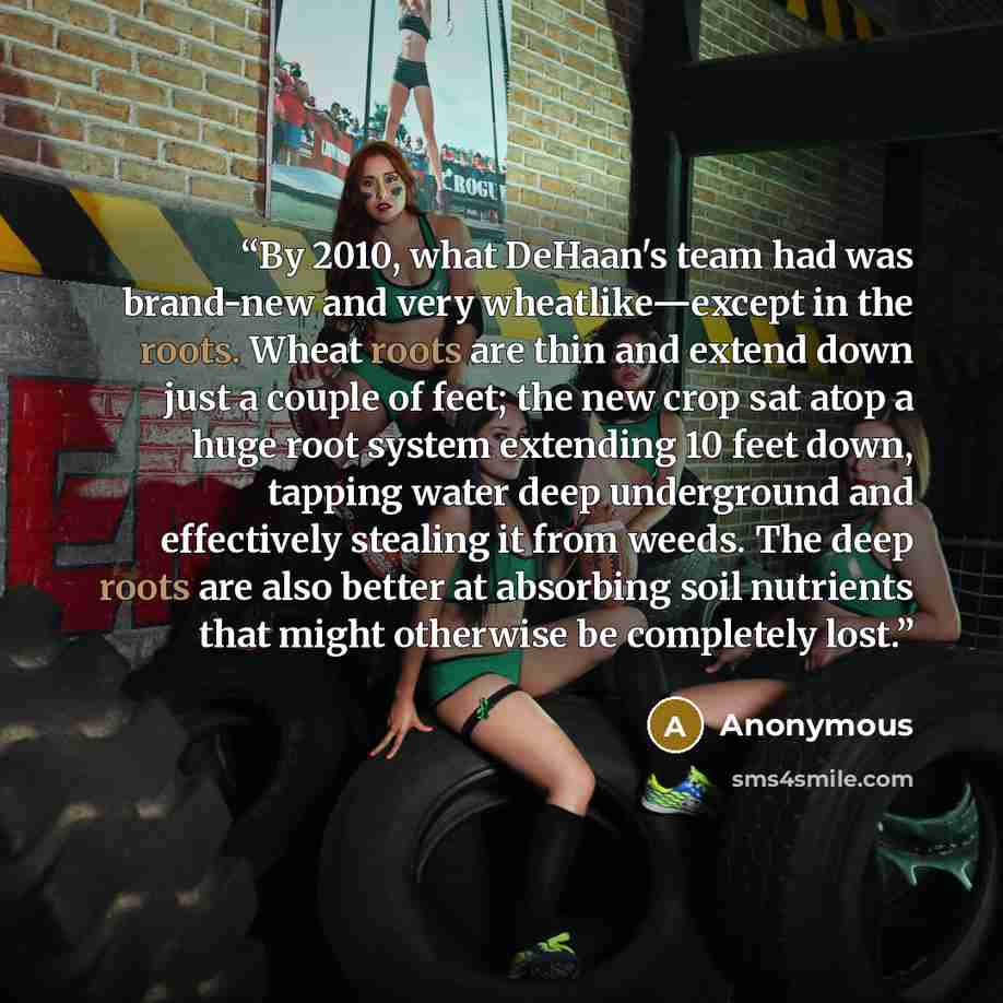 “By 2010, what DeHaan's team had was brand-new and very wheatlike—except in the roots. Wheat roots are thin and extend down just a couple of feet; the new crop sat atop a huge root system extending 10 feet down, tapping water deep underground and effectively stealing it from weeds. The deep roots…” quote by Anonymous