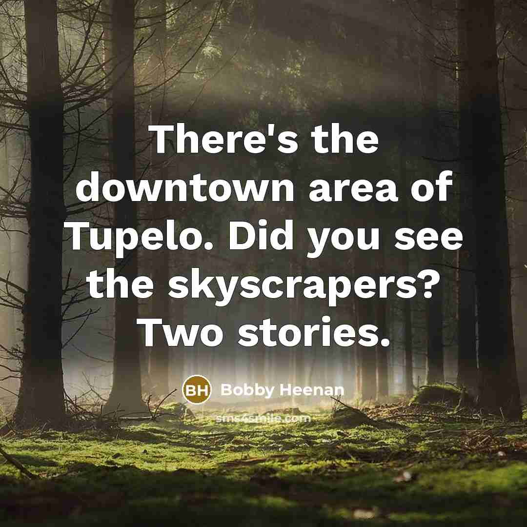 “There's the downtown area of Tupelo. Did you see the…” quote by Bobby Heenan