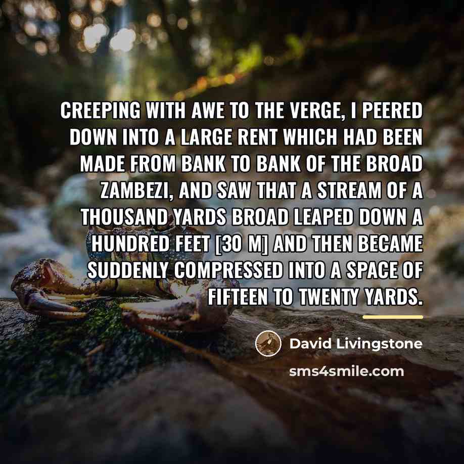 “Creeping with awe to the verge, I peered down into…” quote by David Livingstone