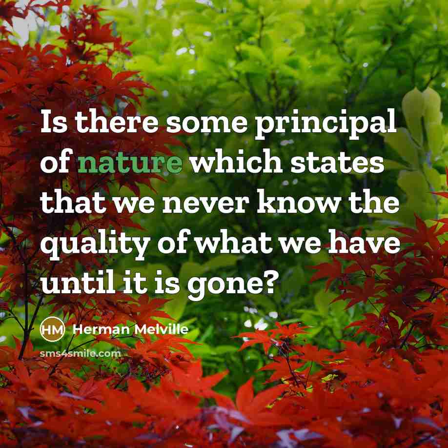 “Is there some principal of nature which states that we…” quote by Herman Melville