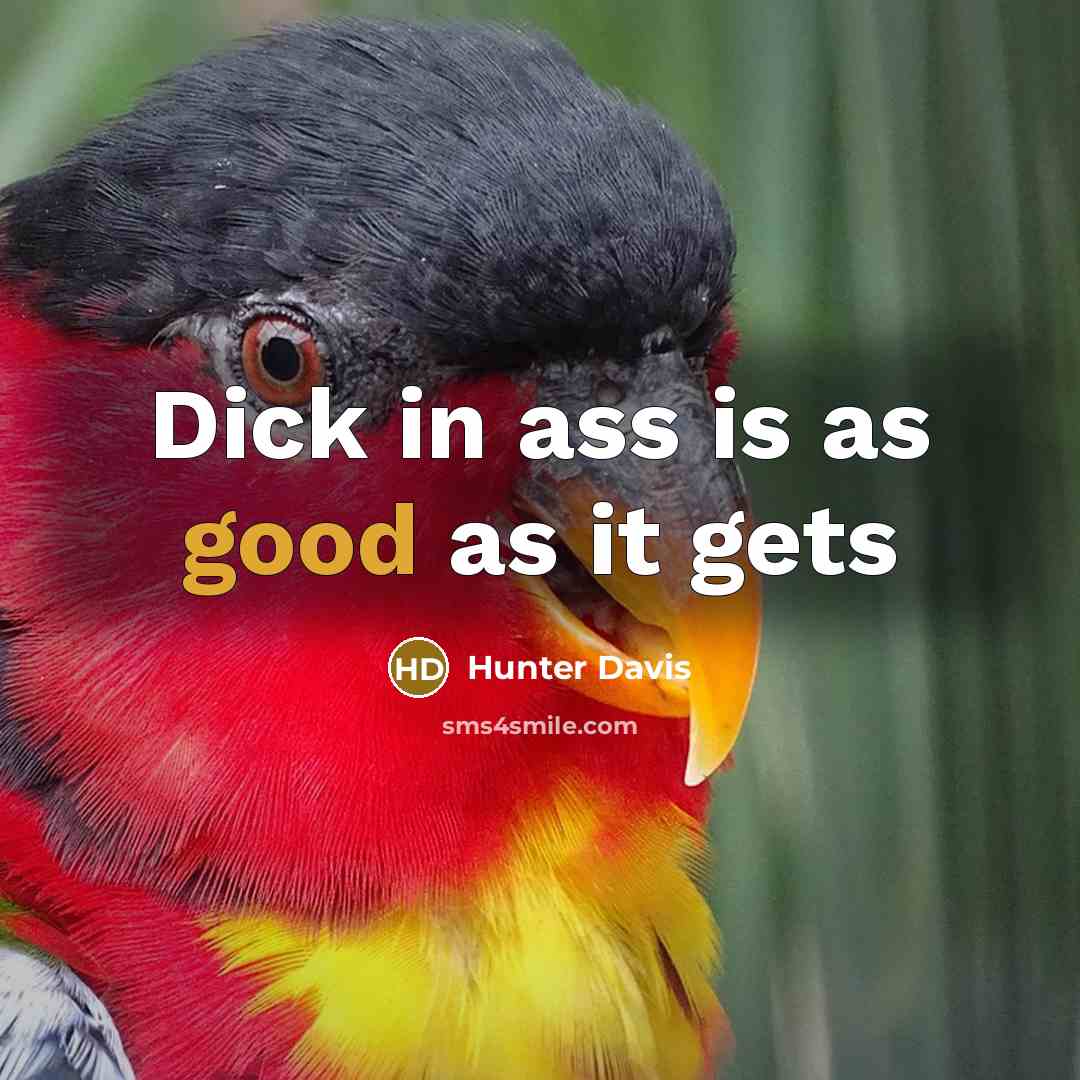 “Dick in ass is as good as it gets” quote by Hunter Davis