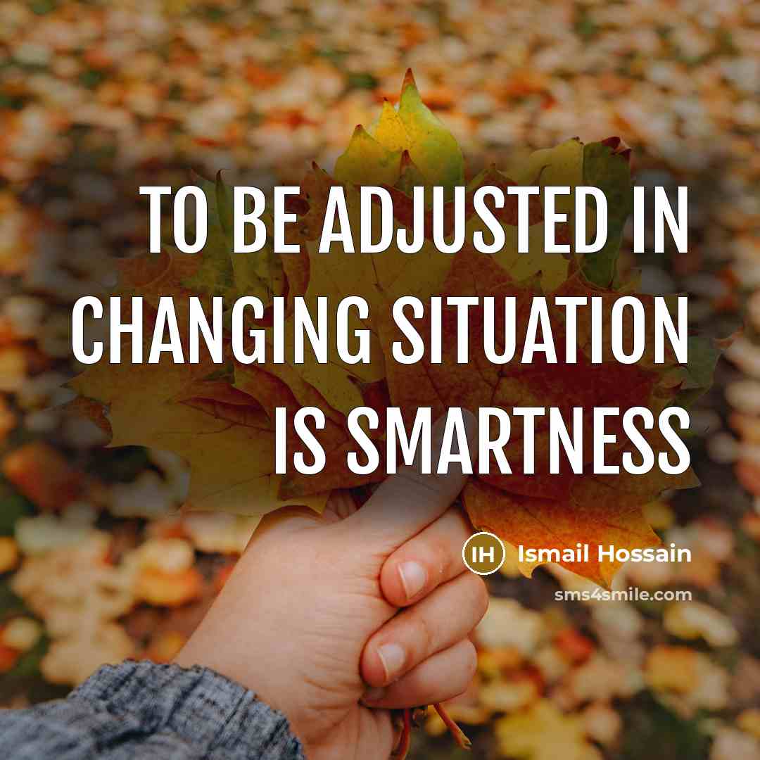 “To be adjusted in changing situation is smartness” quote by Ismail Hossain