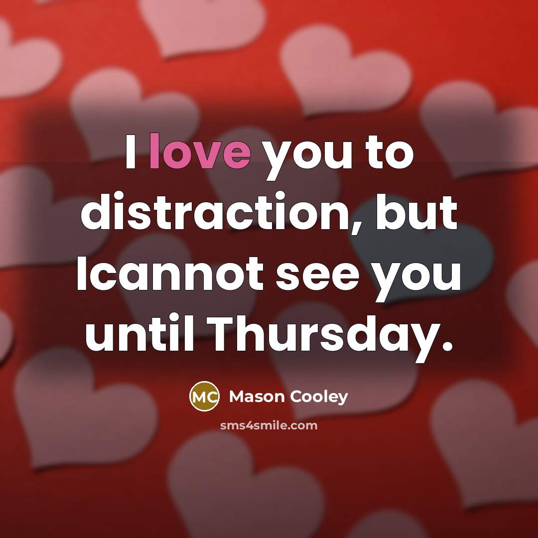 “I love you to distraction, but Icannot see you until…” quote by Mason Cooley