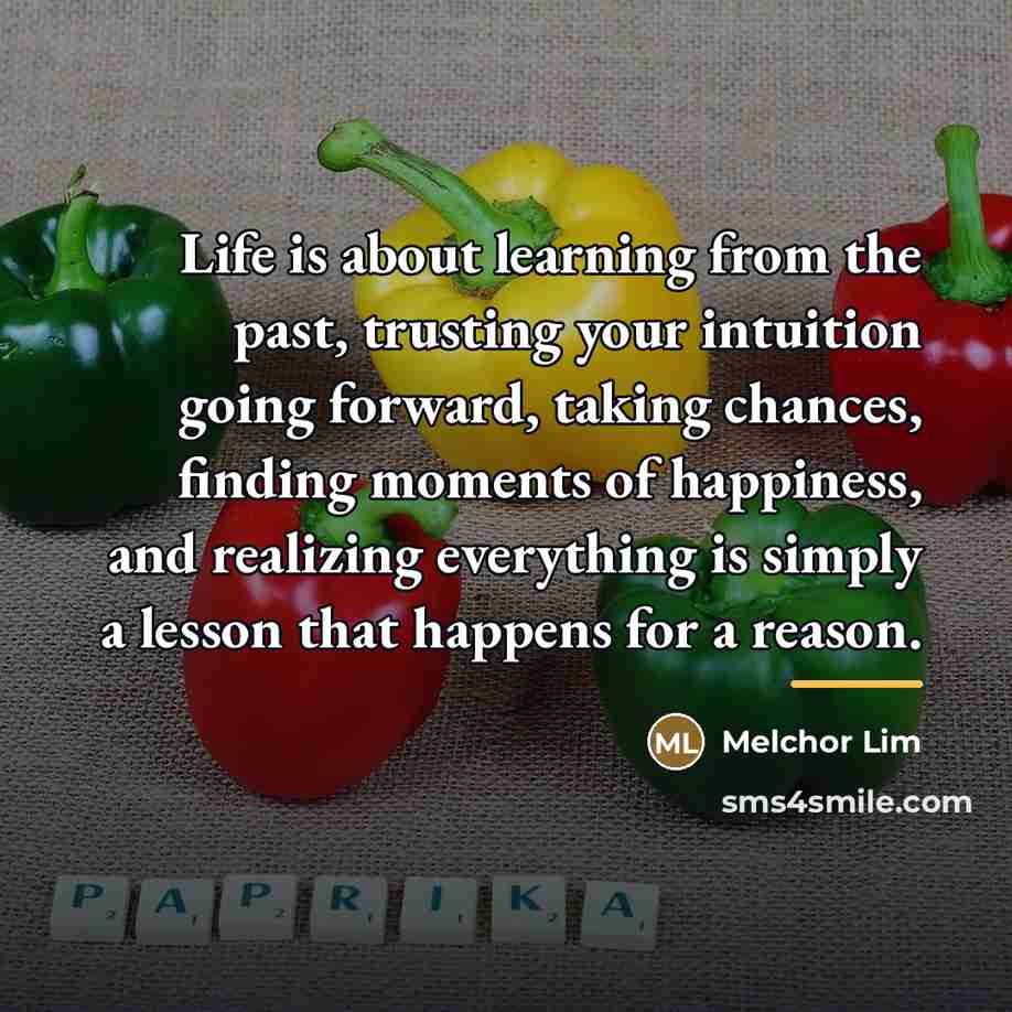 “Life is about learning from the past, trusting your intuition…” quote by Melchor Lim