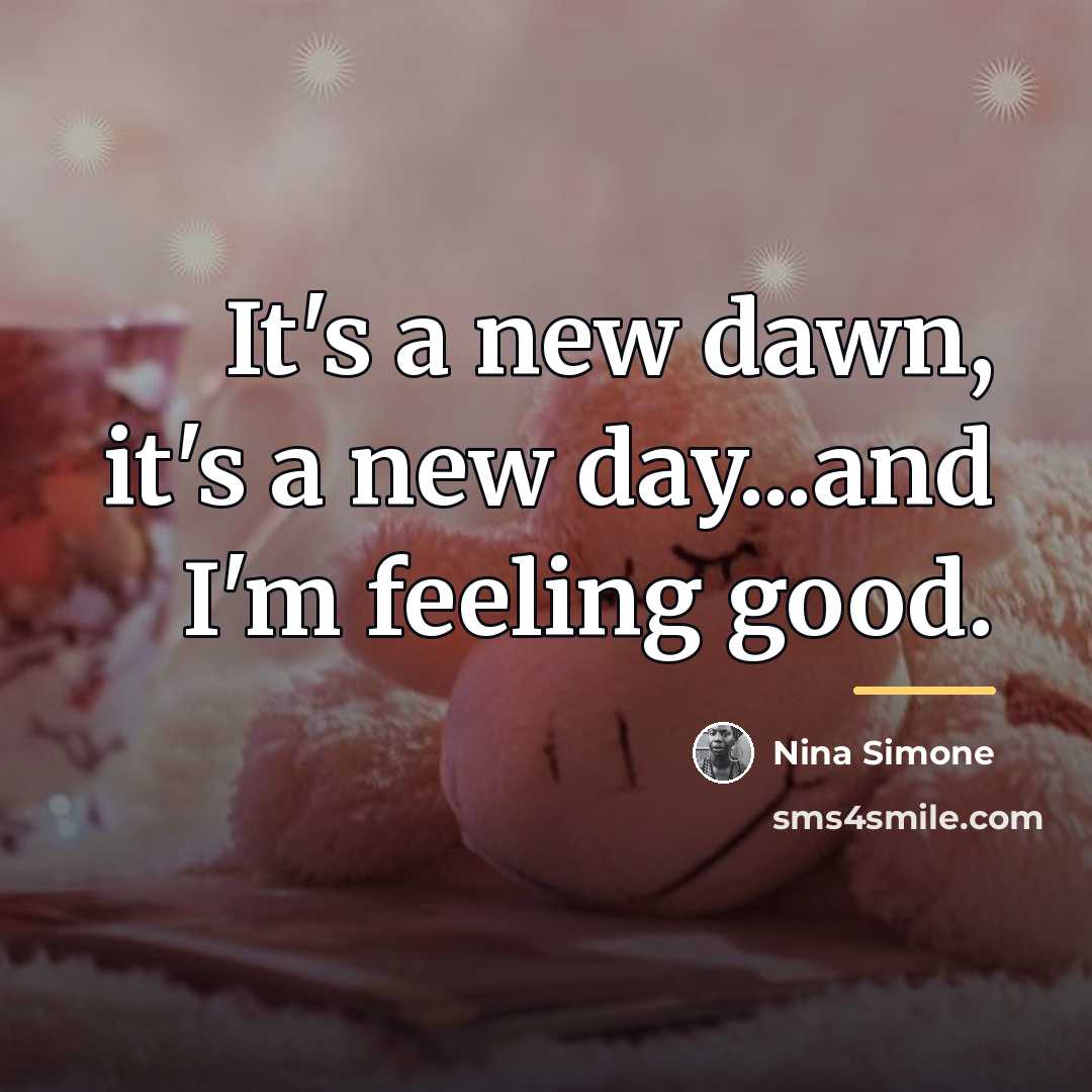 “It's a new dawn, it's a new day...and I'm feeling…” quote by Nina Simone