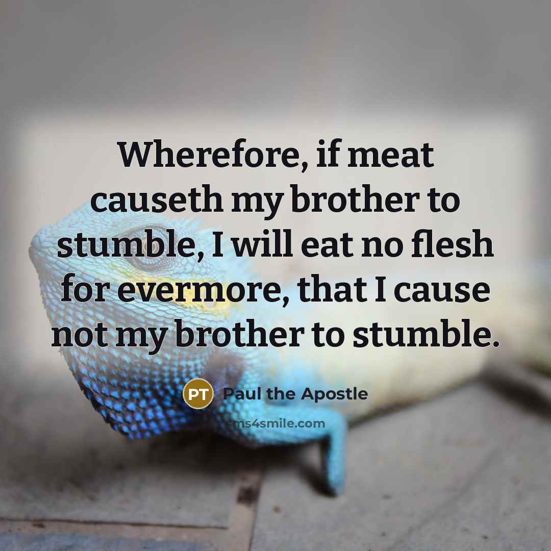 “Wherefore, if meat causeth my brother to stumble, I will…” quote by Paul the Apostle