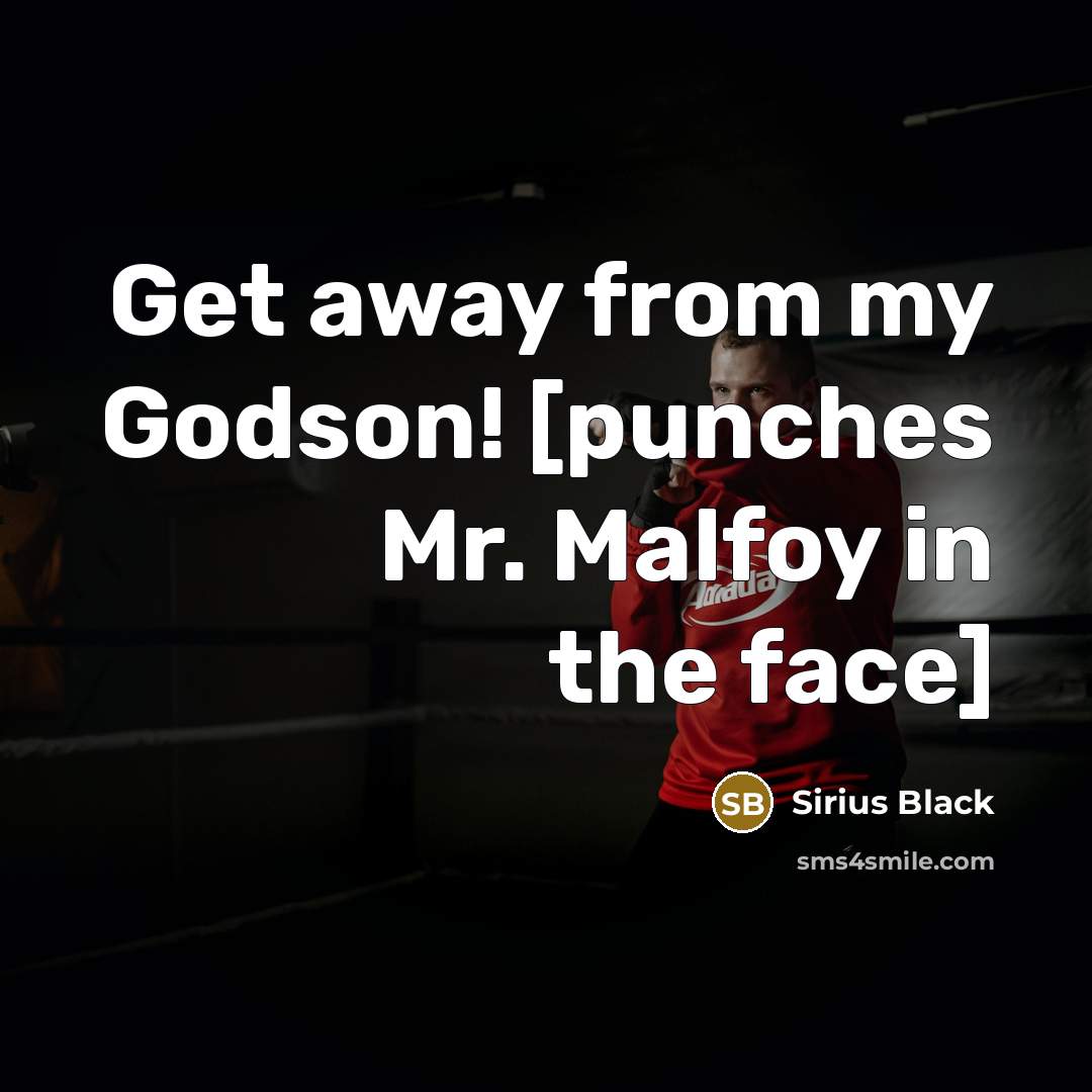 “Get away from my Godson! [punches Mr. Malfoy in the…” quote by Sirius Black