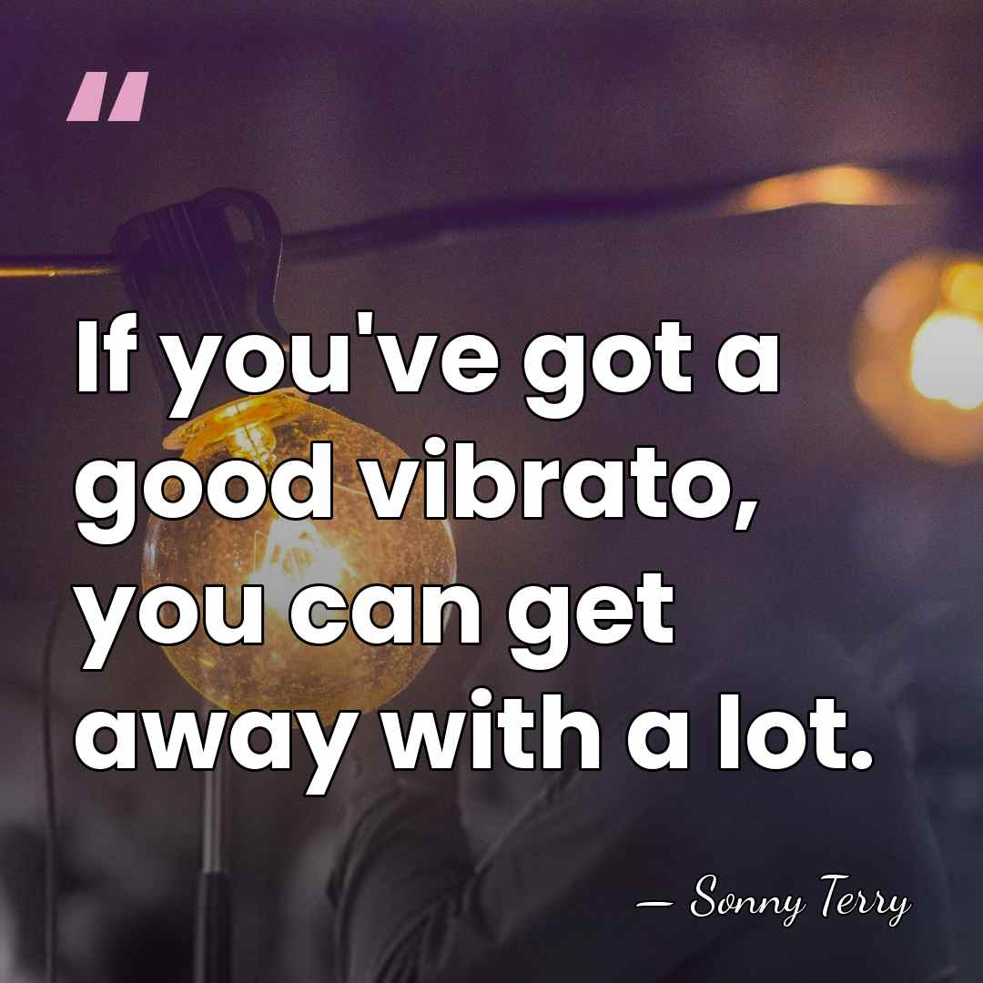 If you've got a good vibrato, you can get away with a&hellip; - Sonny Terry