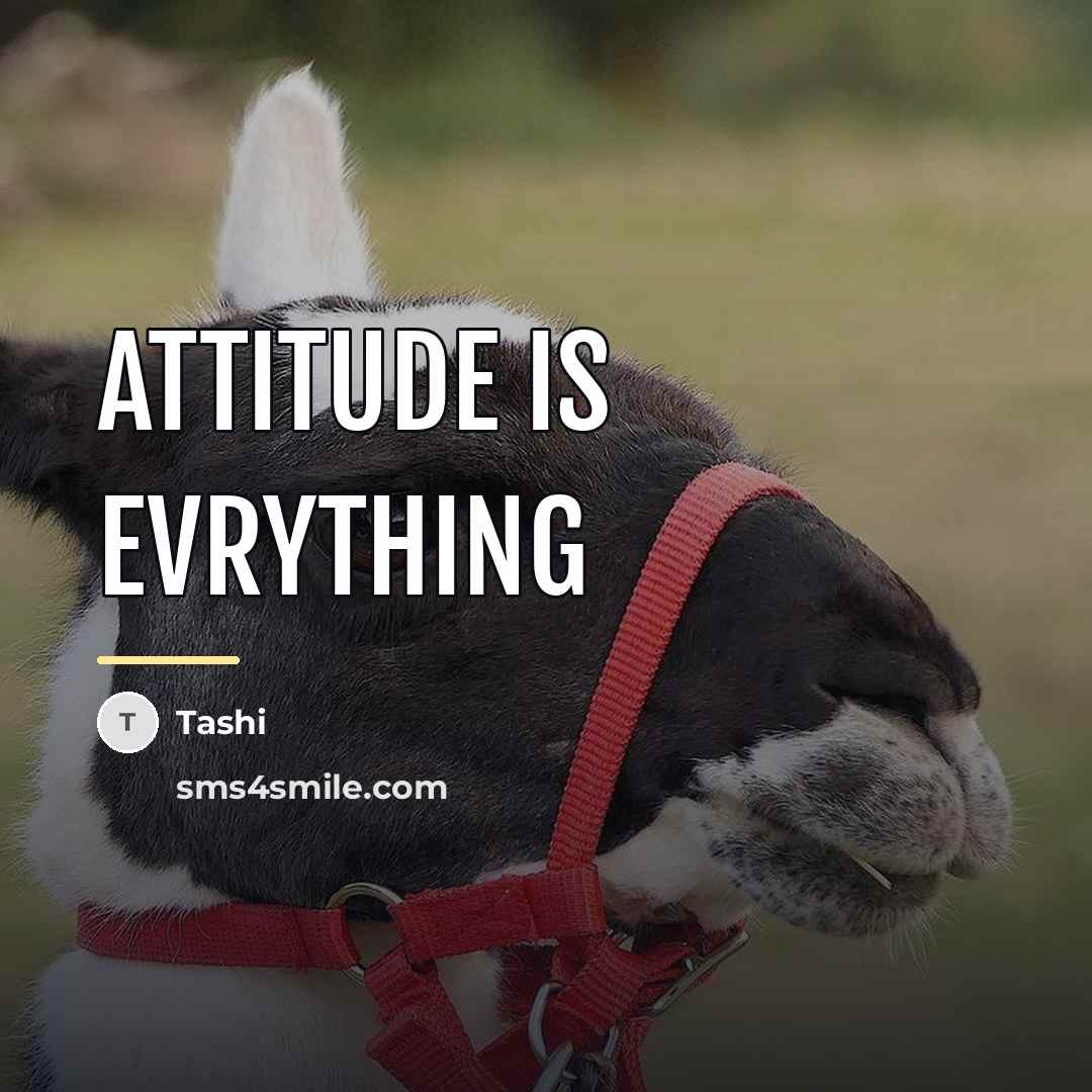 “Attitude is evrything…” quote by Tashi