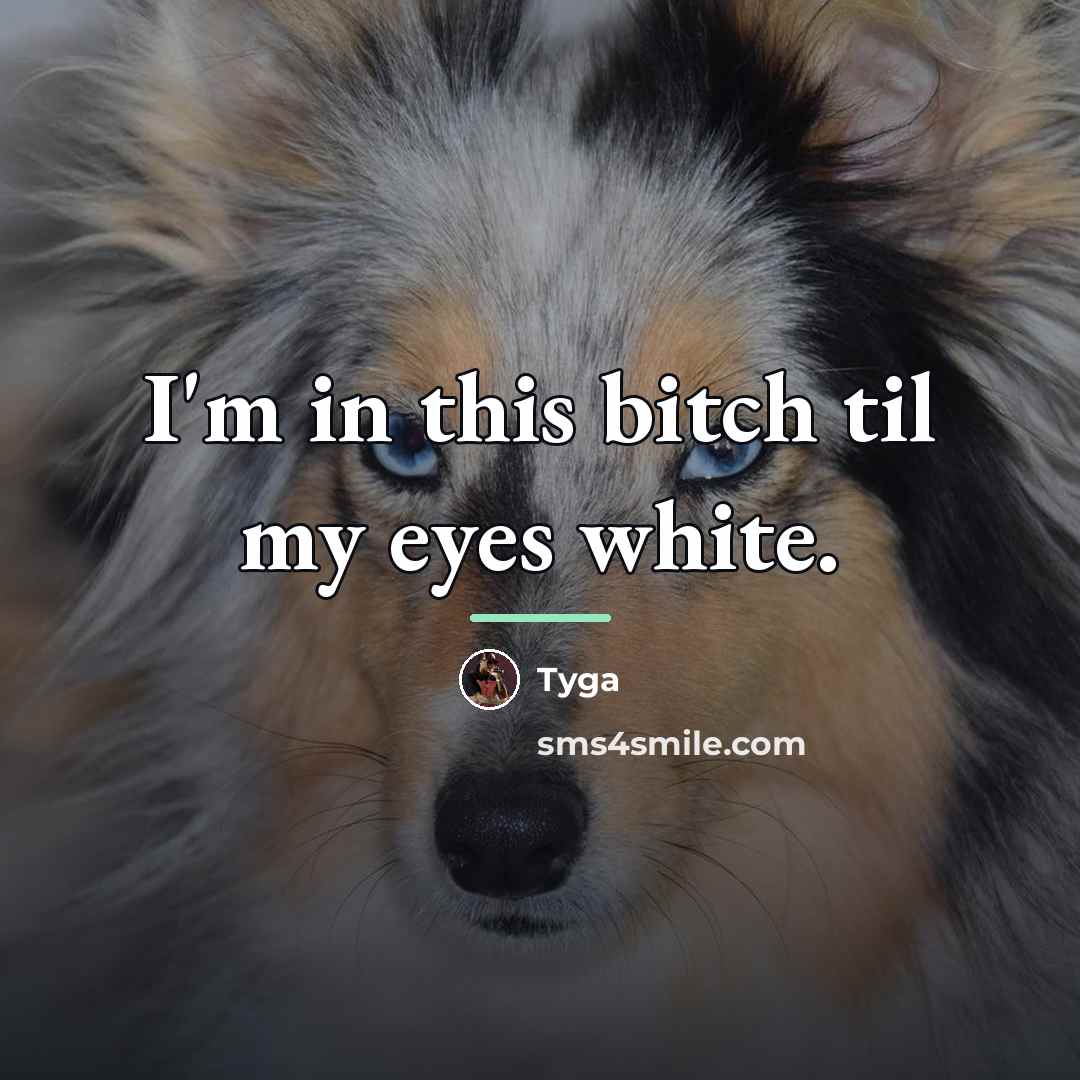 “I'm in this bitch til my eyes white.…” quote by Tyga
