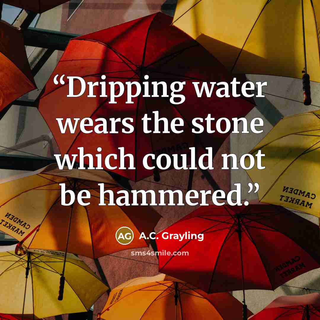 “Dripping water wears the stone which could not be hammered.” quote by A.C. Grayling