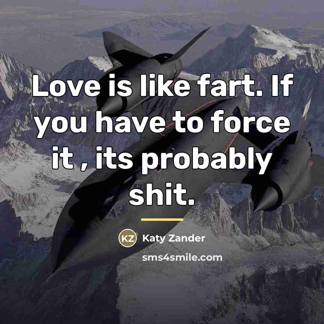 “Love is like fart. If you have to force it…” quote by Katy Zander