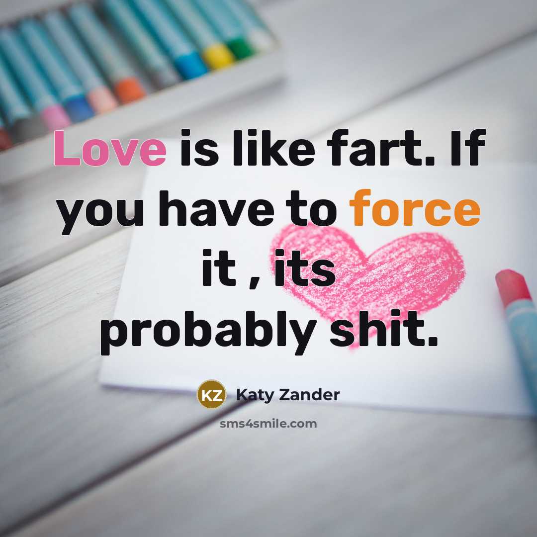 “Love is like fart. If you have to force it , its probably shit.” quote by Katy Zander