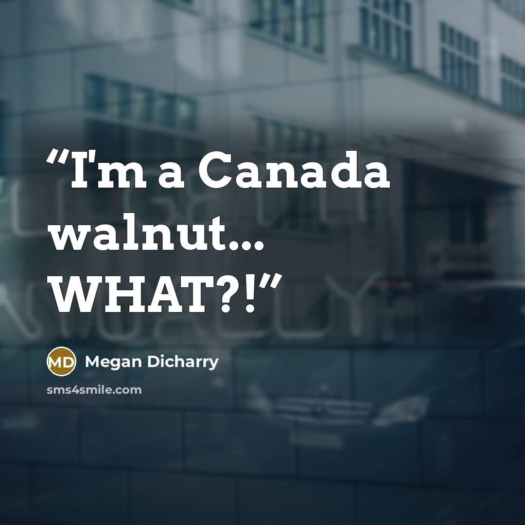 “I'm a Canada walnut... WHAT?!” quote by Megan Dicharry