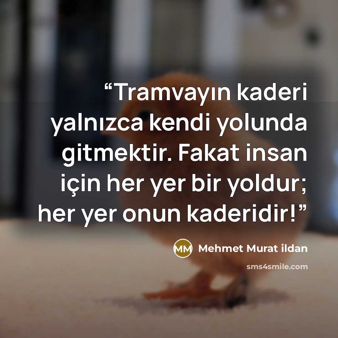 “Tramvayın kaderi yalnızca kendi yolunda gitmektir. Fakat insan için her yer bir yoldur; her yer onun kaderidir!” quote by Mehmet Murat ildan