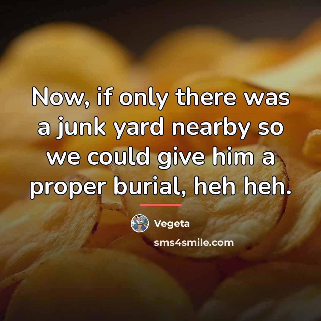 “Now, if only there was a junk yard nearby so…” quote by Vegeta