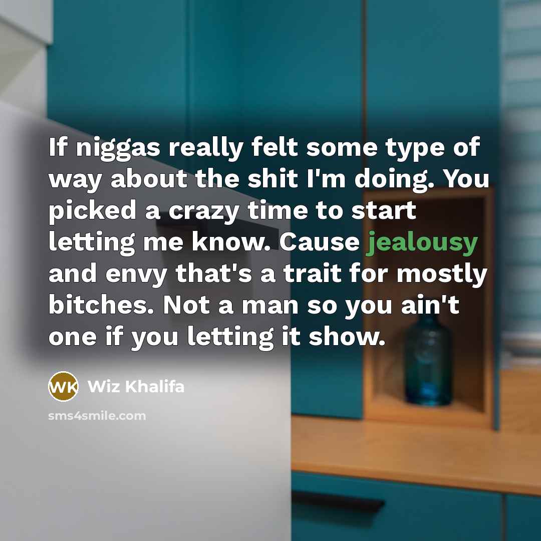“If niggas really felt some type of way about the…” quote by Wiz Khalifa