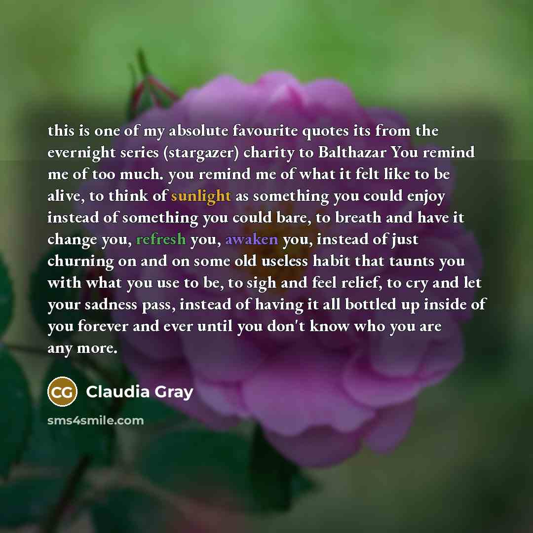 “this is one of my absolute favourite quotes its from…” quote by Claudia Gray