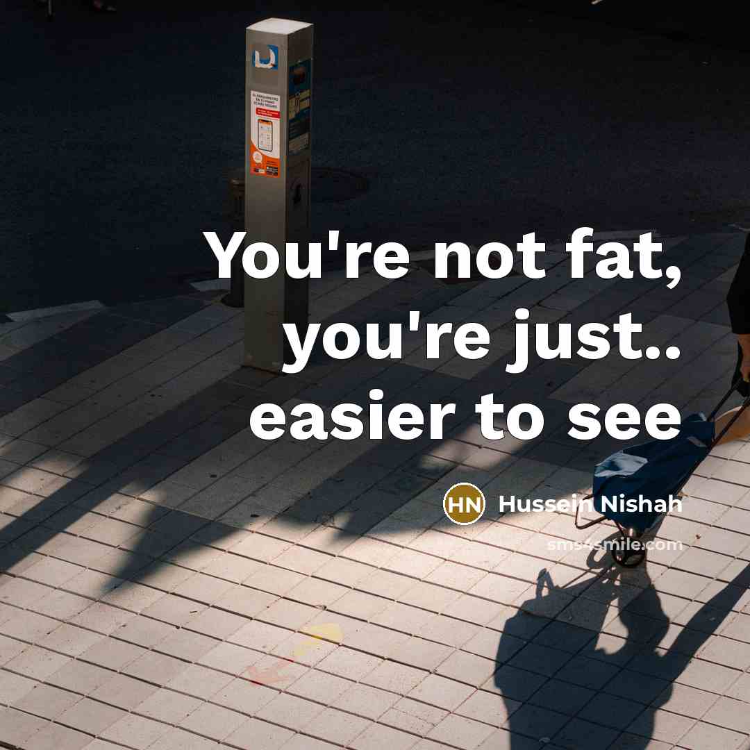 “You're not fat, you're just.. easier to see” quote by Hussein Nishah