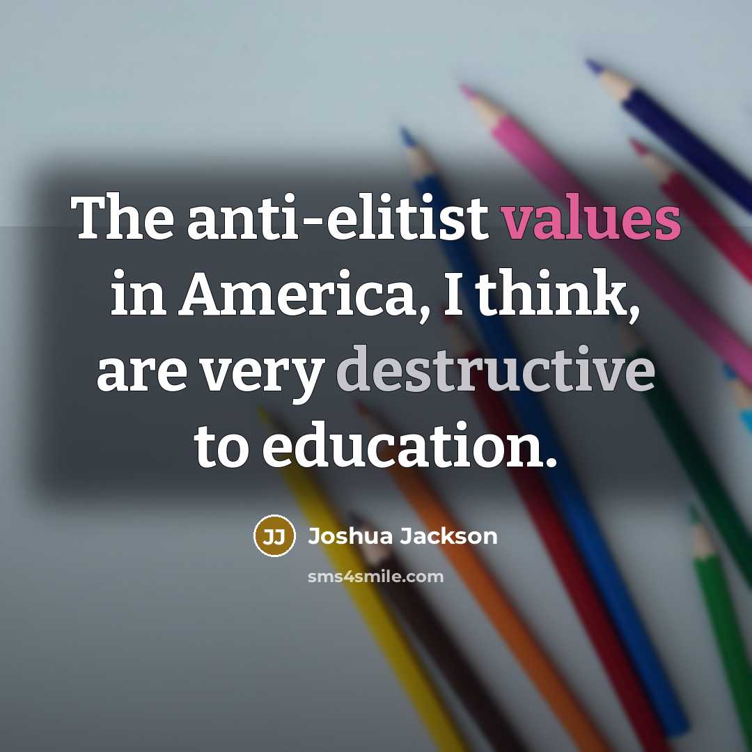 “The anti-elitist values in America, I think, are very destructive…” quote by Joshua Jackson