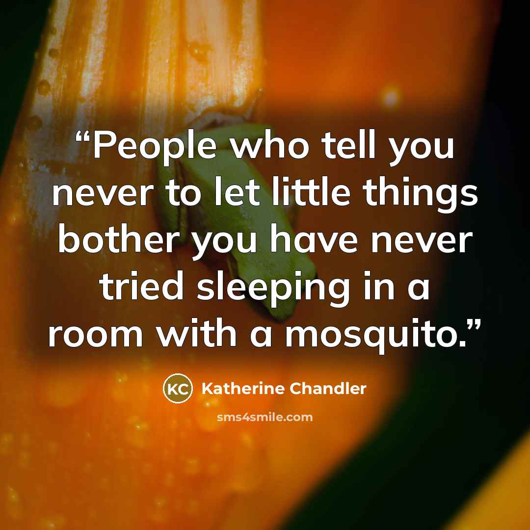 “People who tell you never to let little things bother you have never tried sleeping in a room with a mosquito.” quote by Katherine Chandler