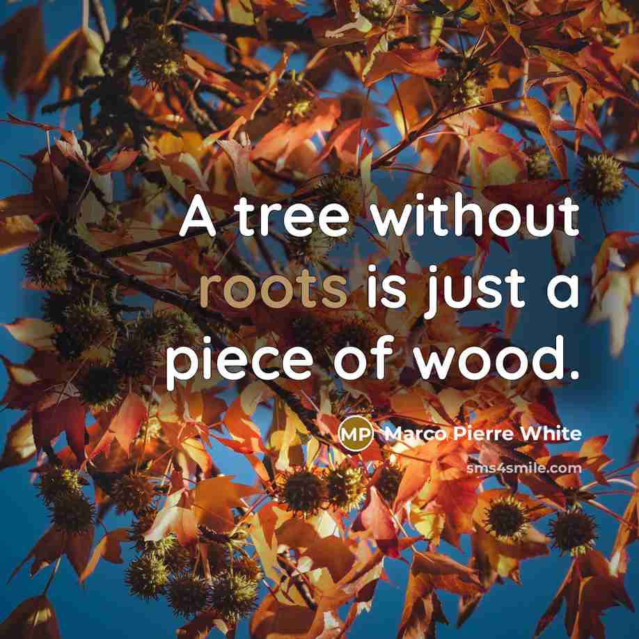 “A tree without roots is just a piece of wood.” quote by Marco Pierre White