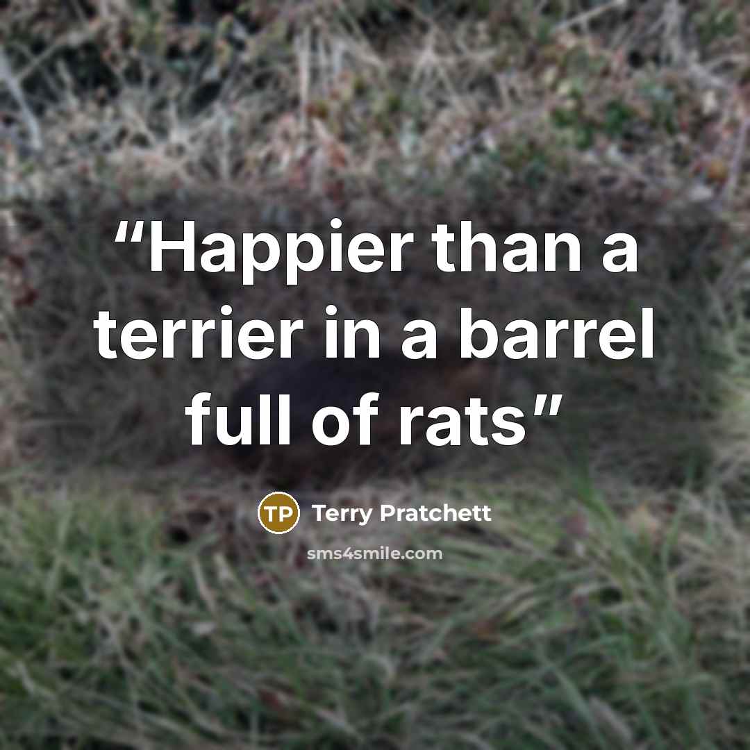 “Happier than a terrier in a barrel full of rats” quote by Terry Pratchett