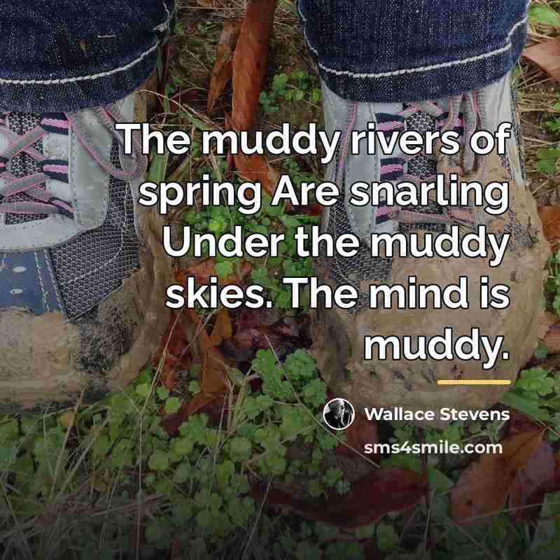 “The muddy rivers of spring Are snarling Under the muddy…” quote by Wallace Stevens