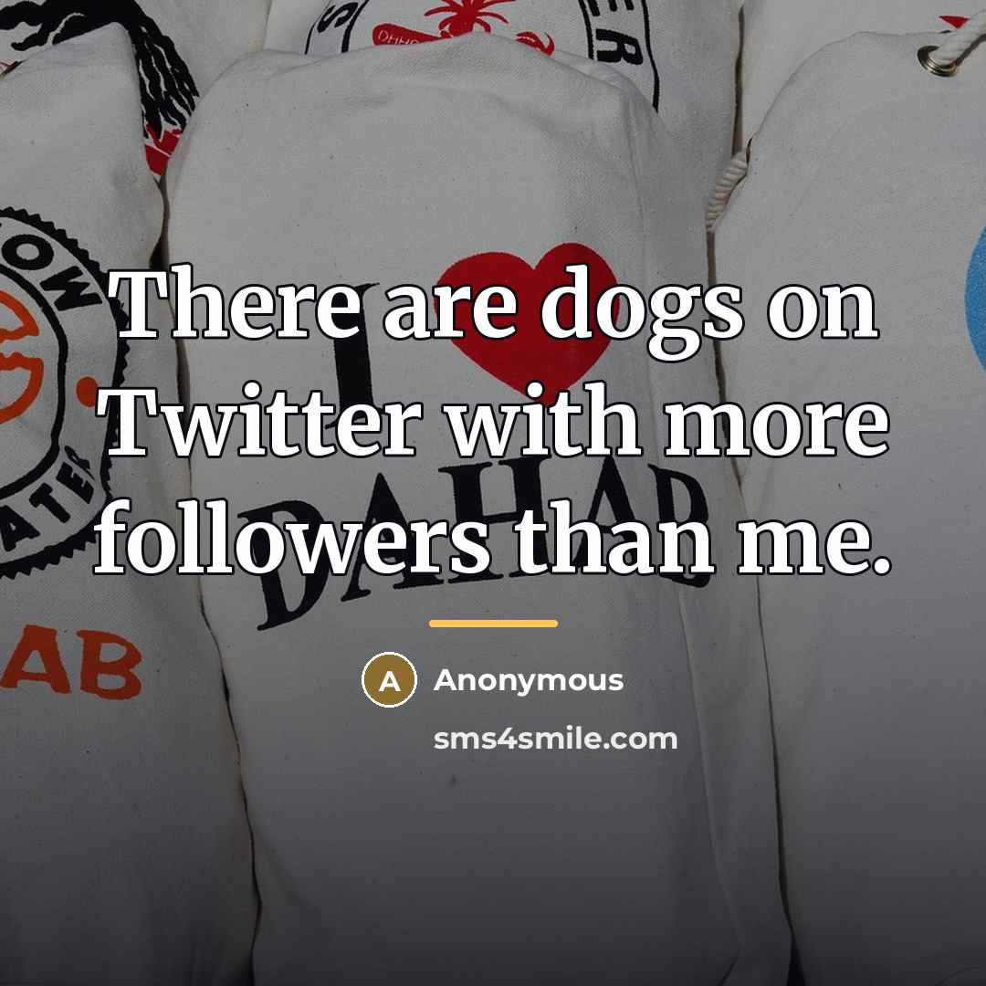 “There are dogs on Twitter with more followers than me.…” quote by Anonymous