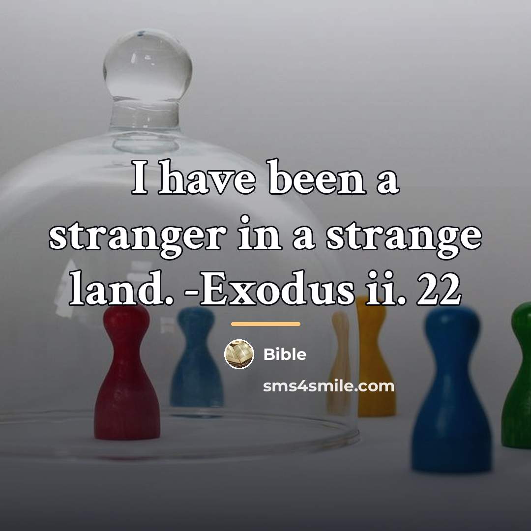 “I have been a stranger in a strange land. -Exodus…” quote by Bible