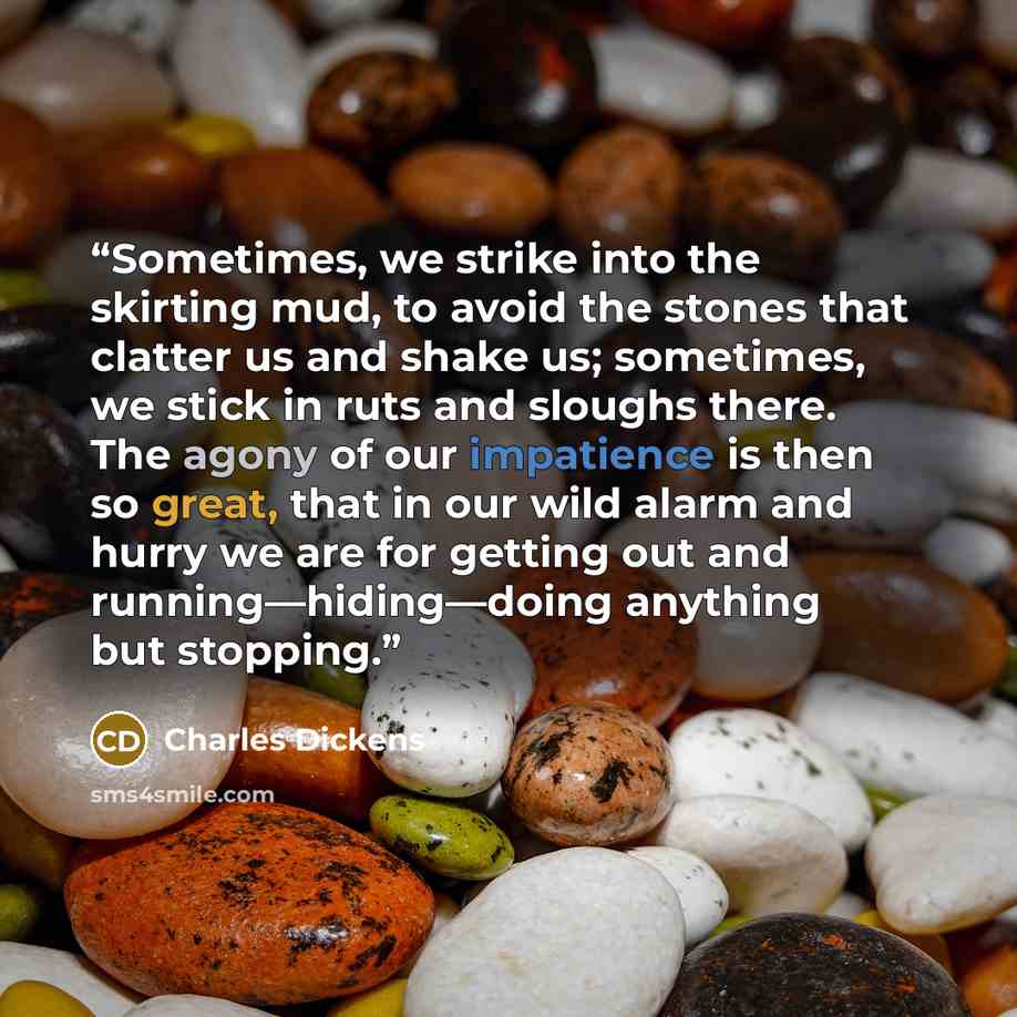 “Sometimes, we strike into the skirting mud, to avoid the stones that clatter us and shake us; sometimes, we stick in ruts and sloughs there. The agony of our impatience is then so great, that in our wild alarm and hurry we are for getting out and running—hiding—doing anything but stopping.” quote by Charles Dickens