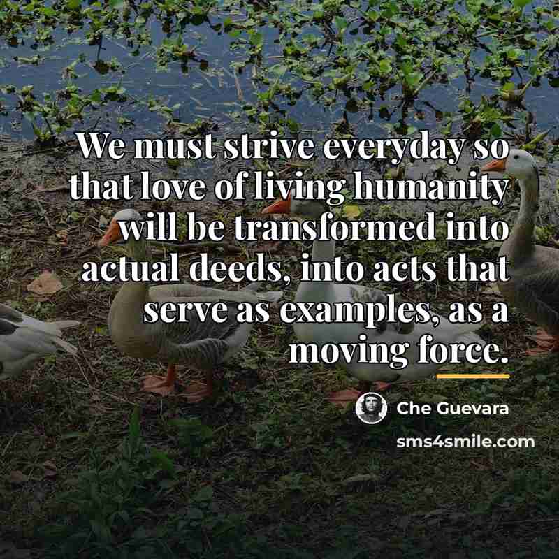 “We must strive everyday so that love of living humanity…” quote by Che Guevara