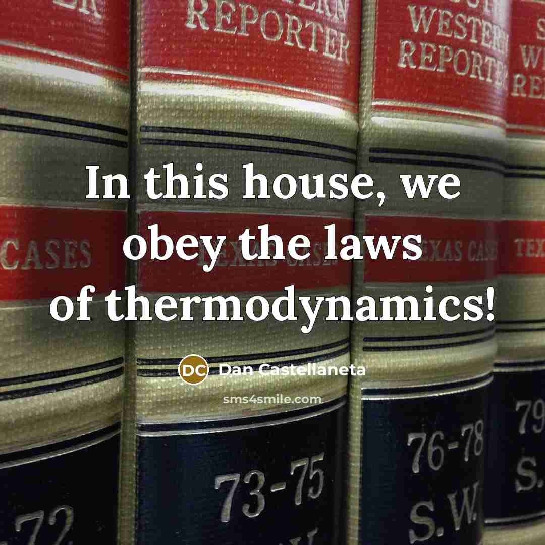 “In this house, we obey the laws of thermodynamics!…” quote by Dan Castellaneta