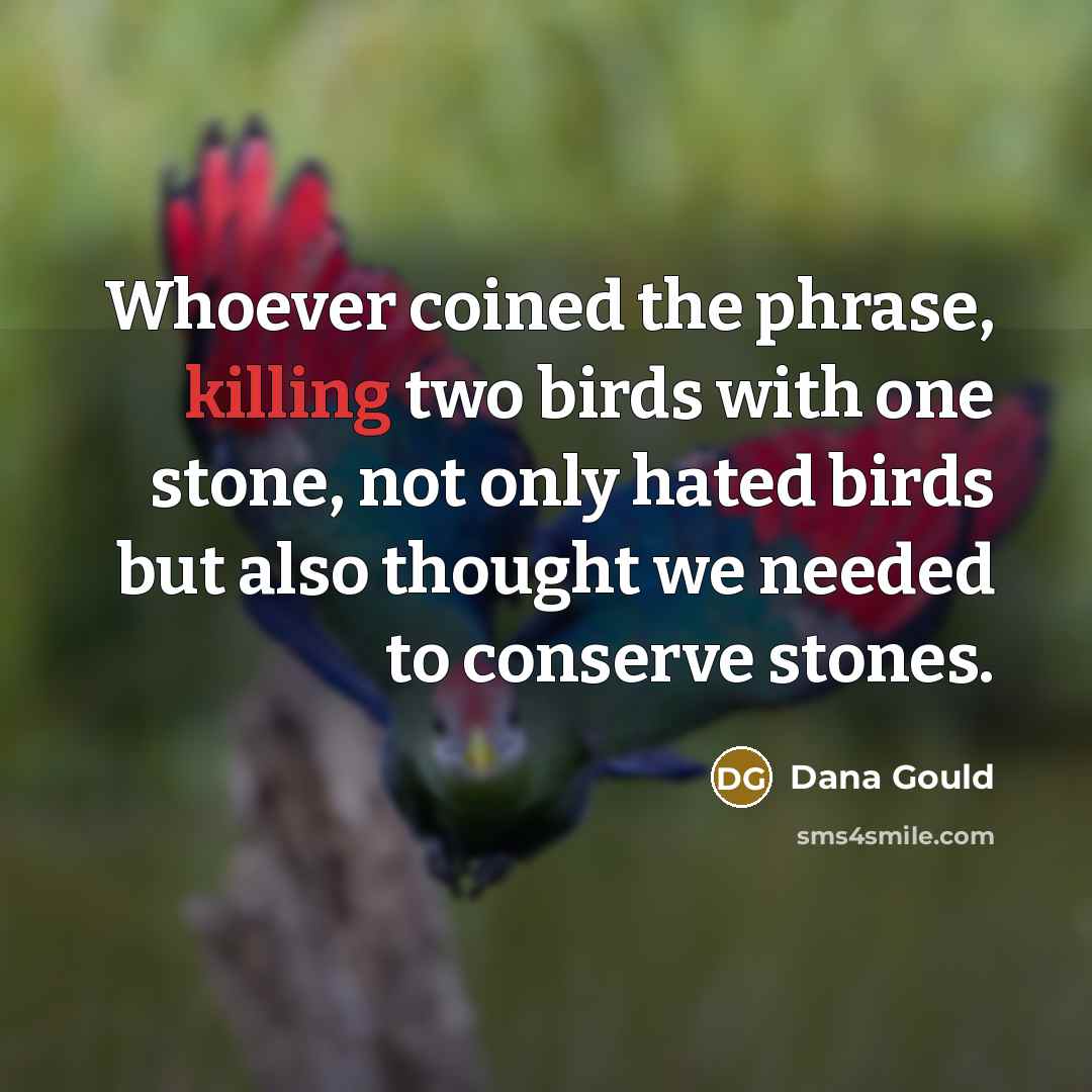 “Whoever coined the phrase, killing two birds with one stone,…” quote by Dana Gould