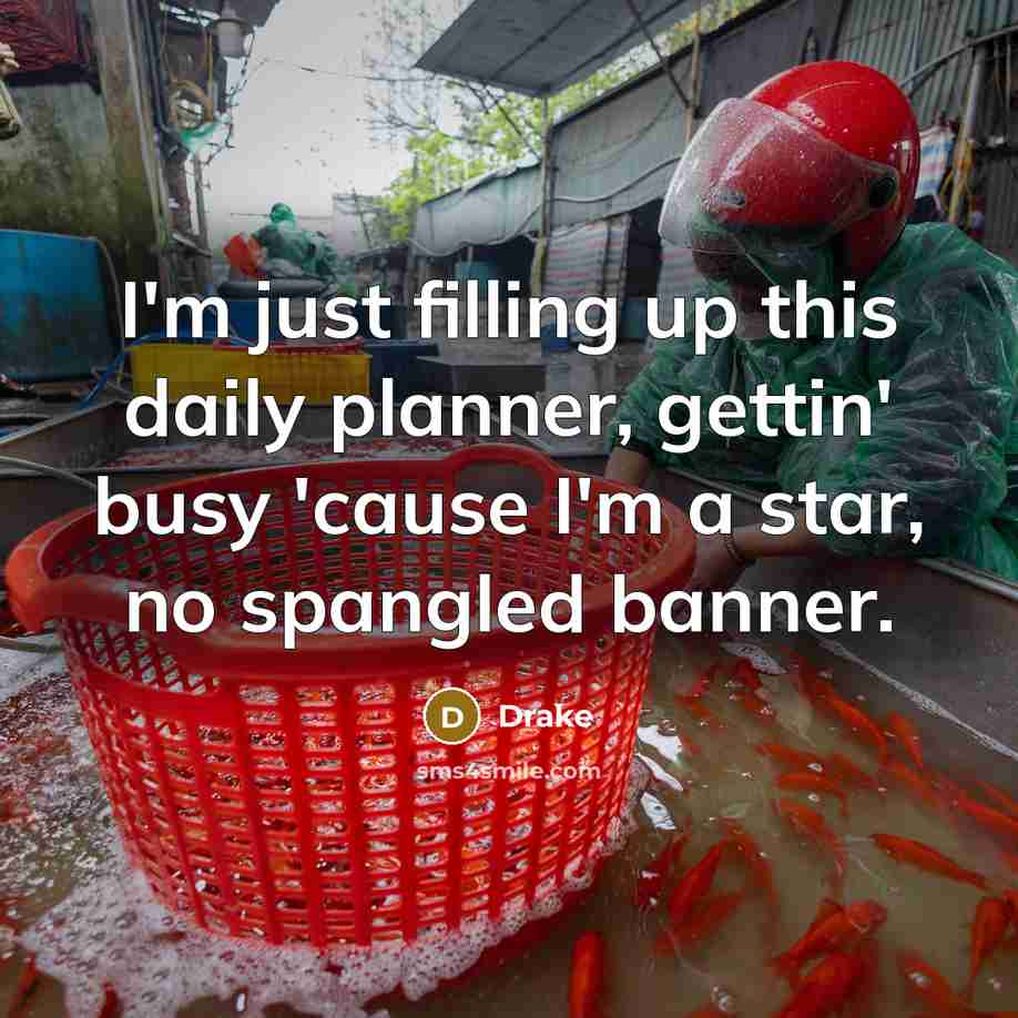 “I'm just filling up this daily planner, gettin' busy 'cause I'm a star, no spangled banner.” quote by Drake