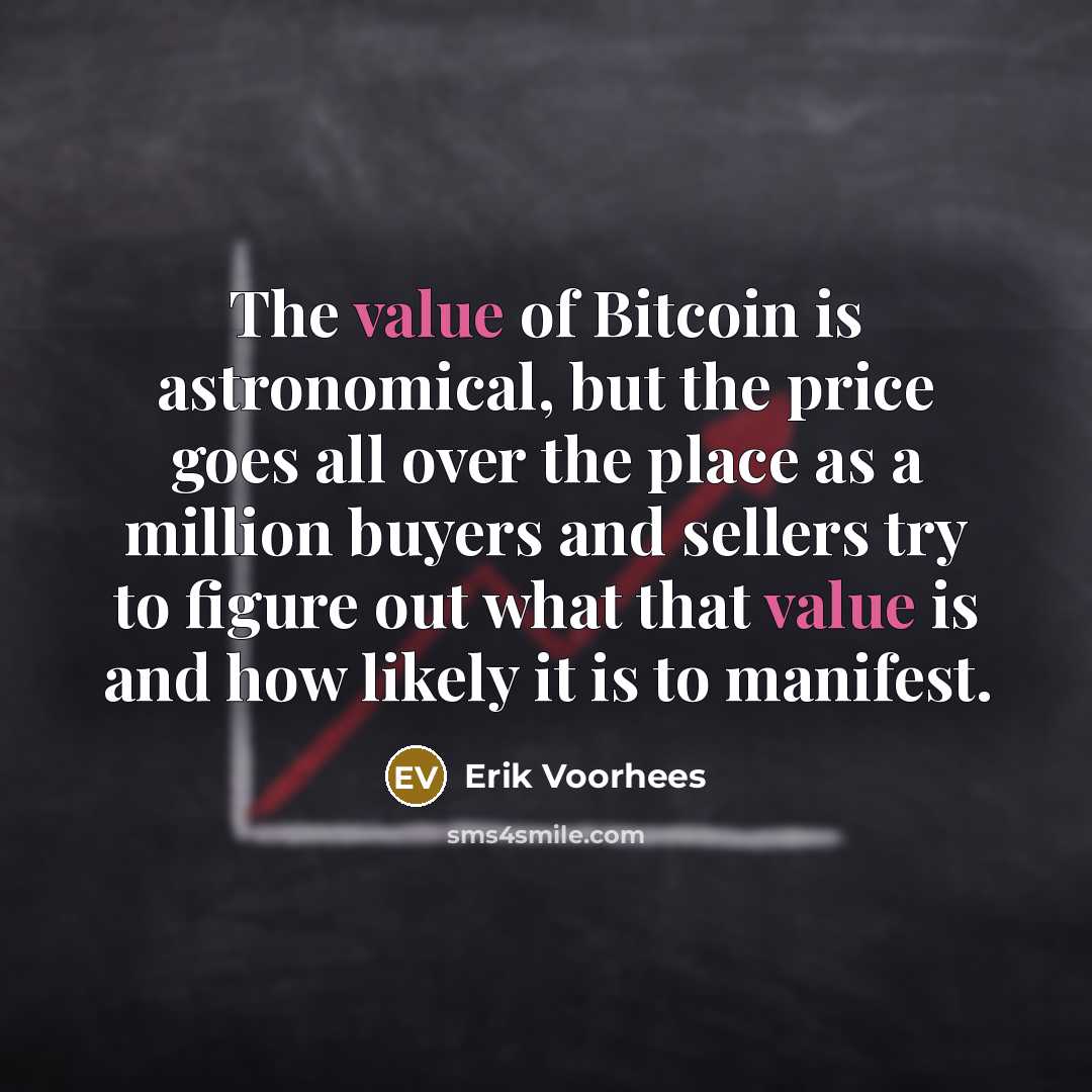“The value of Bitcoin is astronomical, but the price goes…” quote by Erik Voorhees