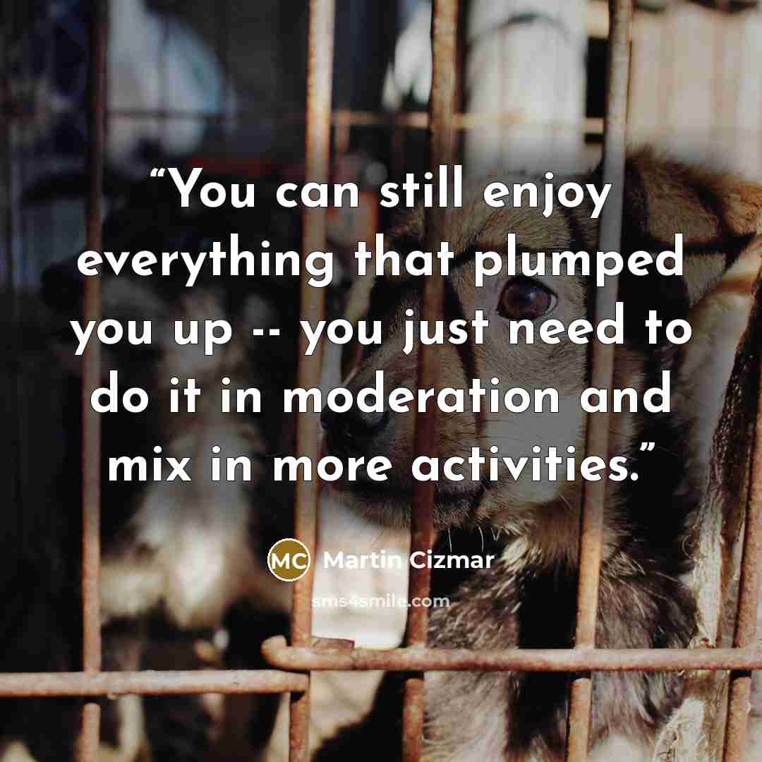 “You can still enjoy everything that plumped you up -- you just need to do it in moderation and mix in more activities.” quote by Martin Cizmar