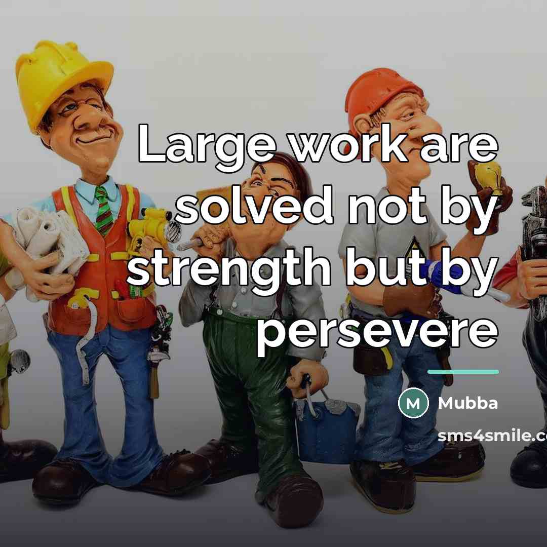“Large work are solved not by strength but by persevere…” quote by Mubba