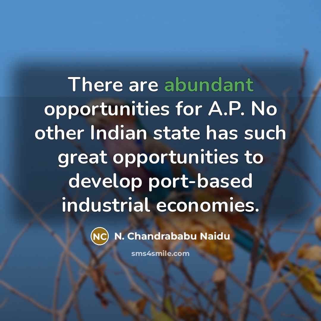 “There are abundant opportunities for A.P. No other Indian state…” quote by N. Chandrababu Naidu
