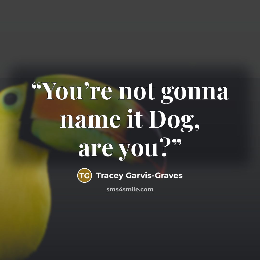 “You’re not gonna name it Dog, are you?” quote by Tracey Garvis-Graves