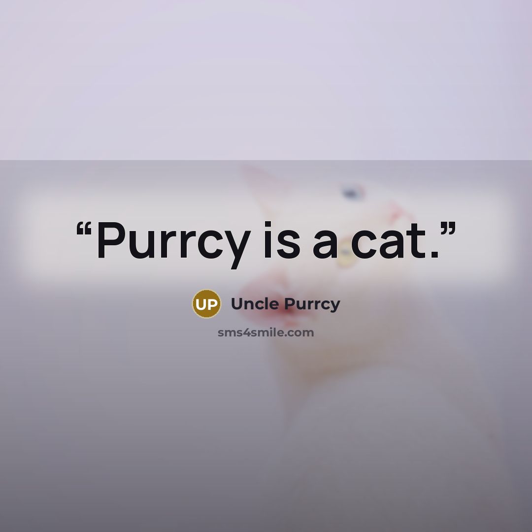 “Purrcy is a cat.” quote by Uncle Purrcy