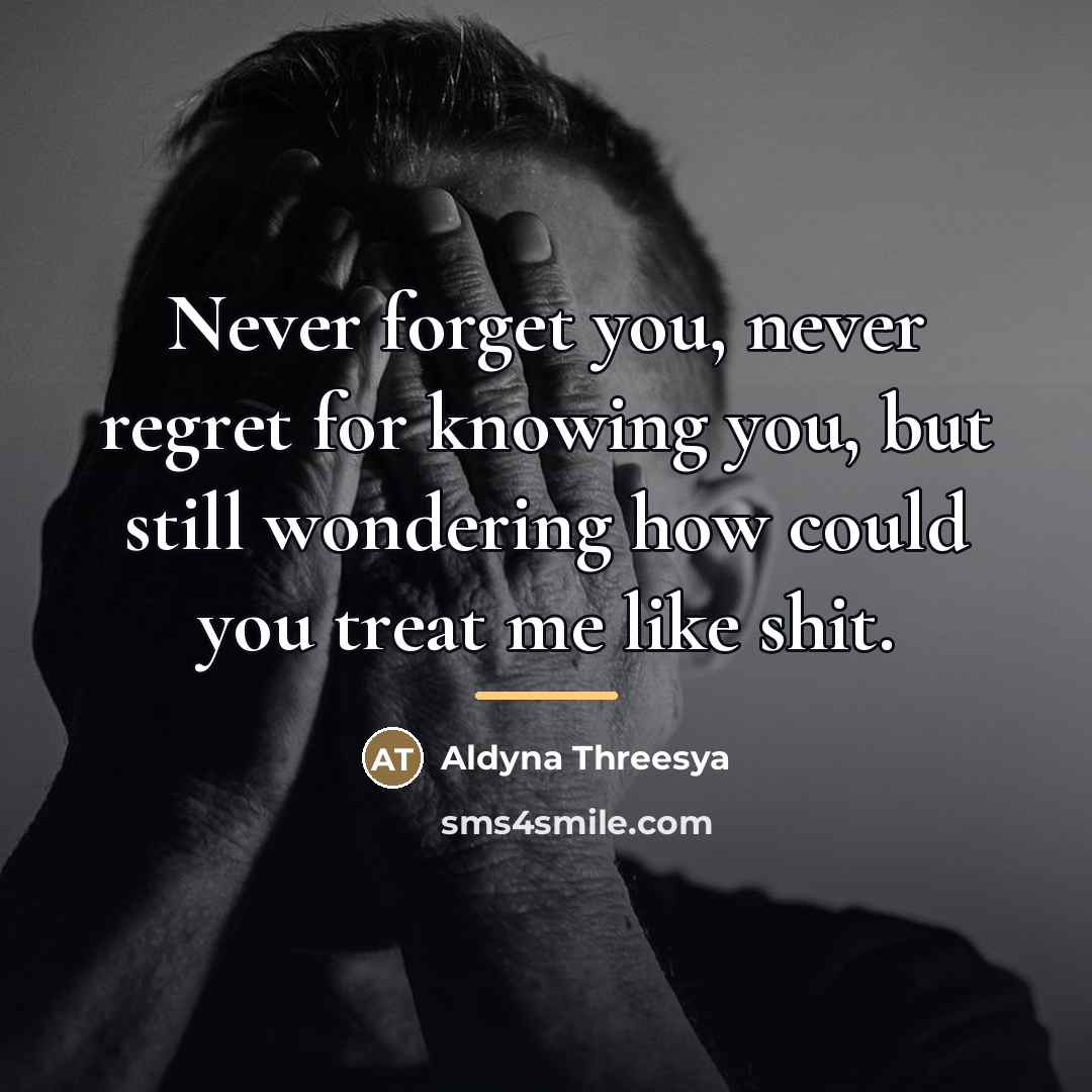 “Never forget you, never regret for knowing you, but still…” quote by Aldyna Threesya