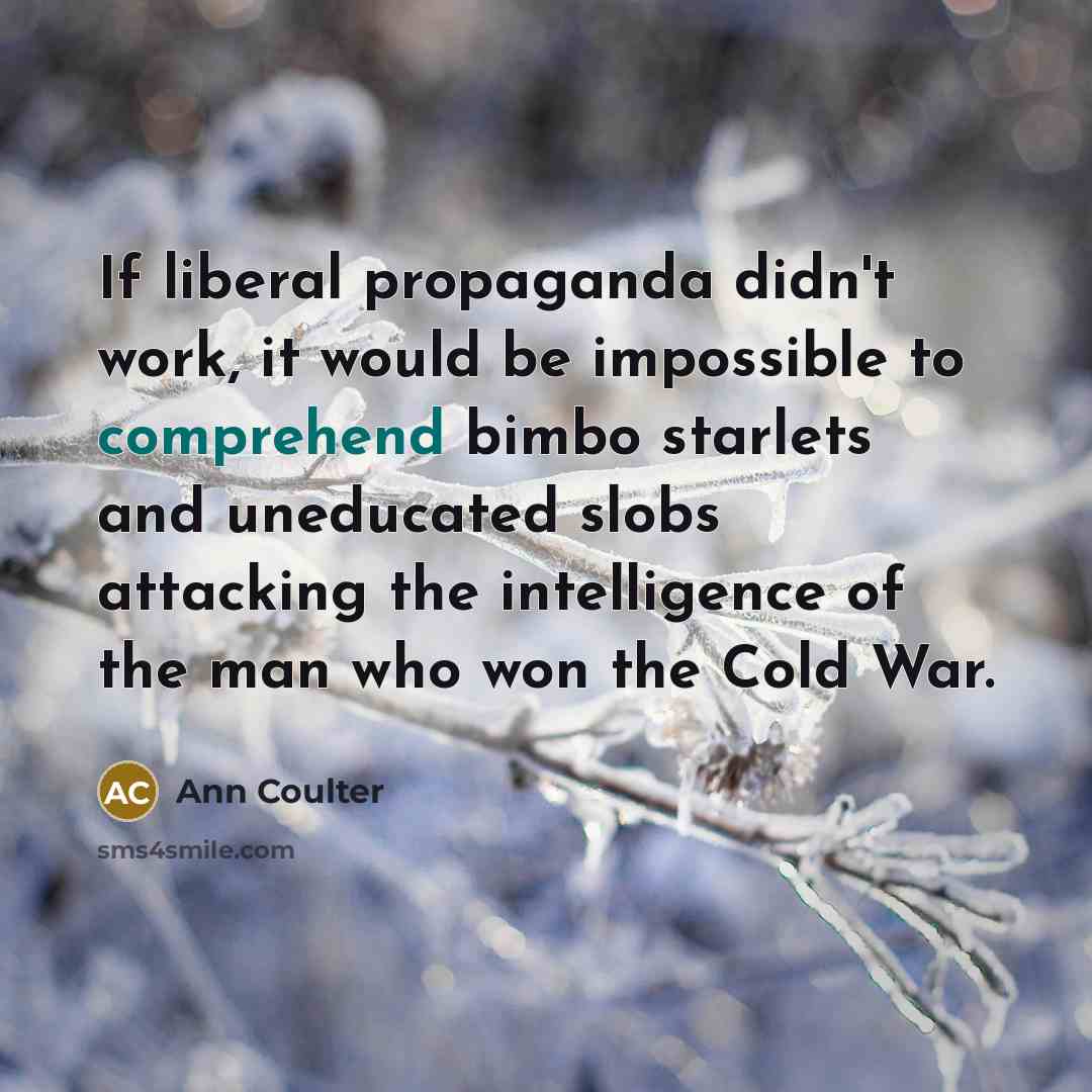 “If liberal propaganda didn't work, it would be impossible to…” quote by Ann Coulter