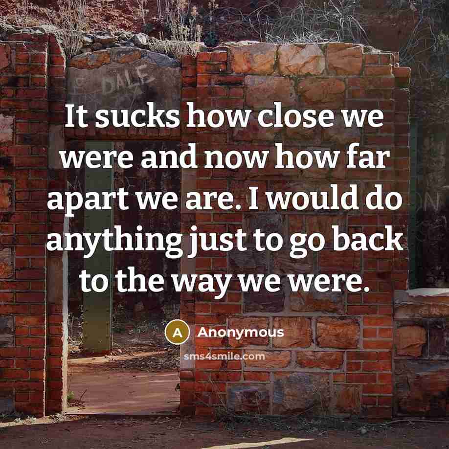 “It sucks how close we were and now how far apart we are. I would do anything just to go back to the way we were.” quote by Anonymous