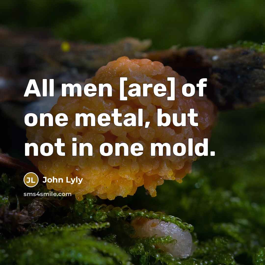 “All men [are] of one metal, but not in one…” quote by John Lyly