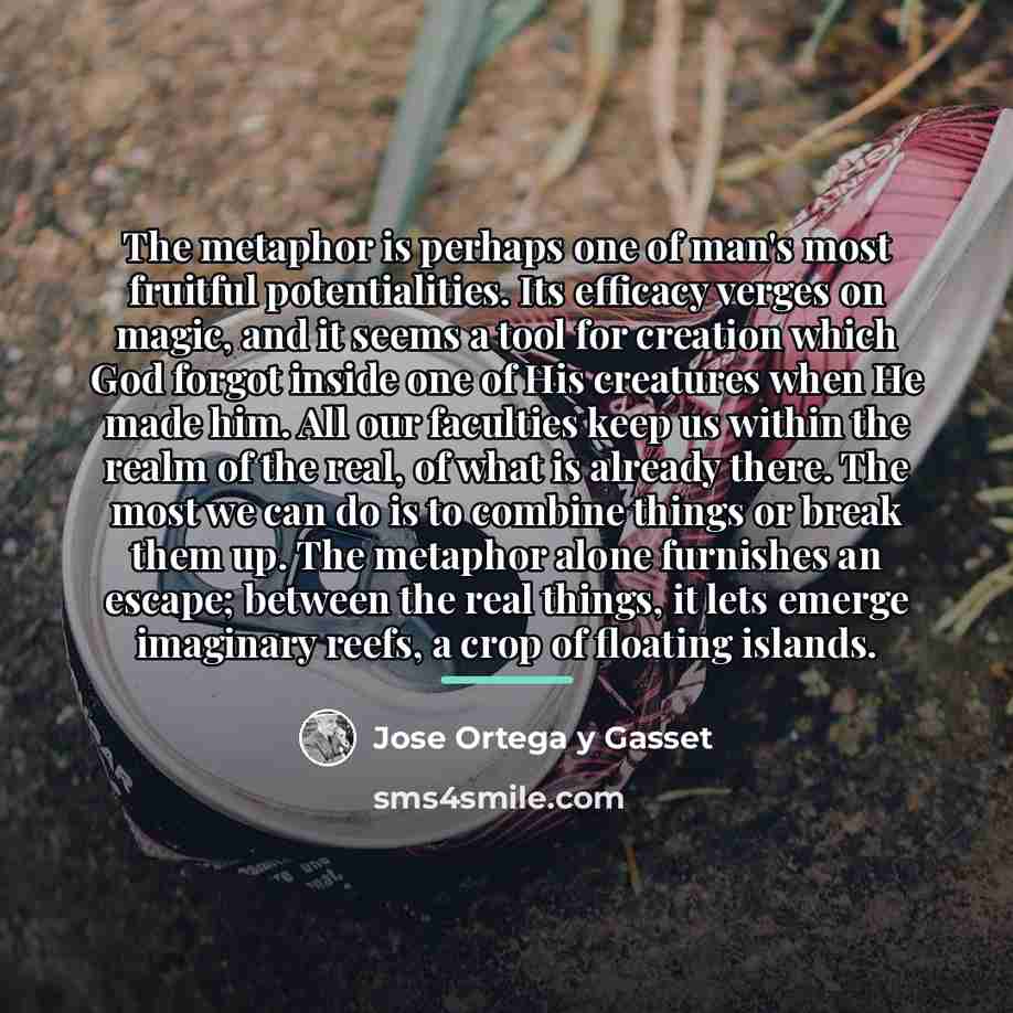 “The metaphor is perhaps one of man's most fruitful potentialities.…” quote by Jose Ortega y Gasset