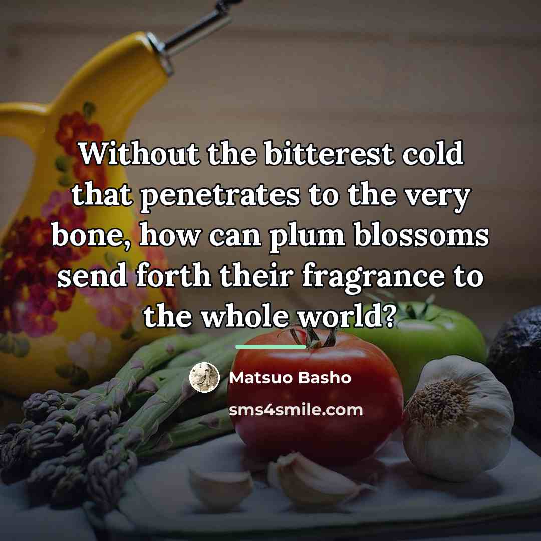 “Without the bitterest cold that penetrates to the very bone,…” quote by Matsuo Basho