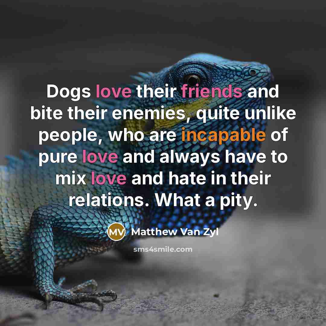 “Dogs love their friends and bite their enemies, quite unlike people, who are incapable of pure love and always have to mix love and hate in their relations. What a pity.” quote by Matthew Van Zyl