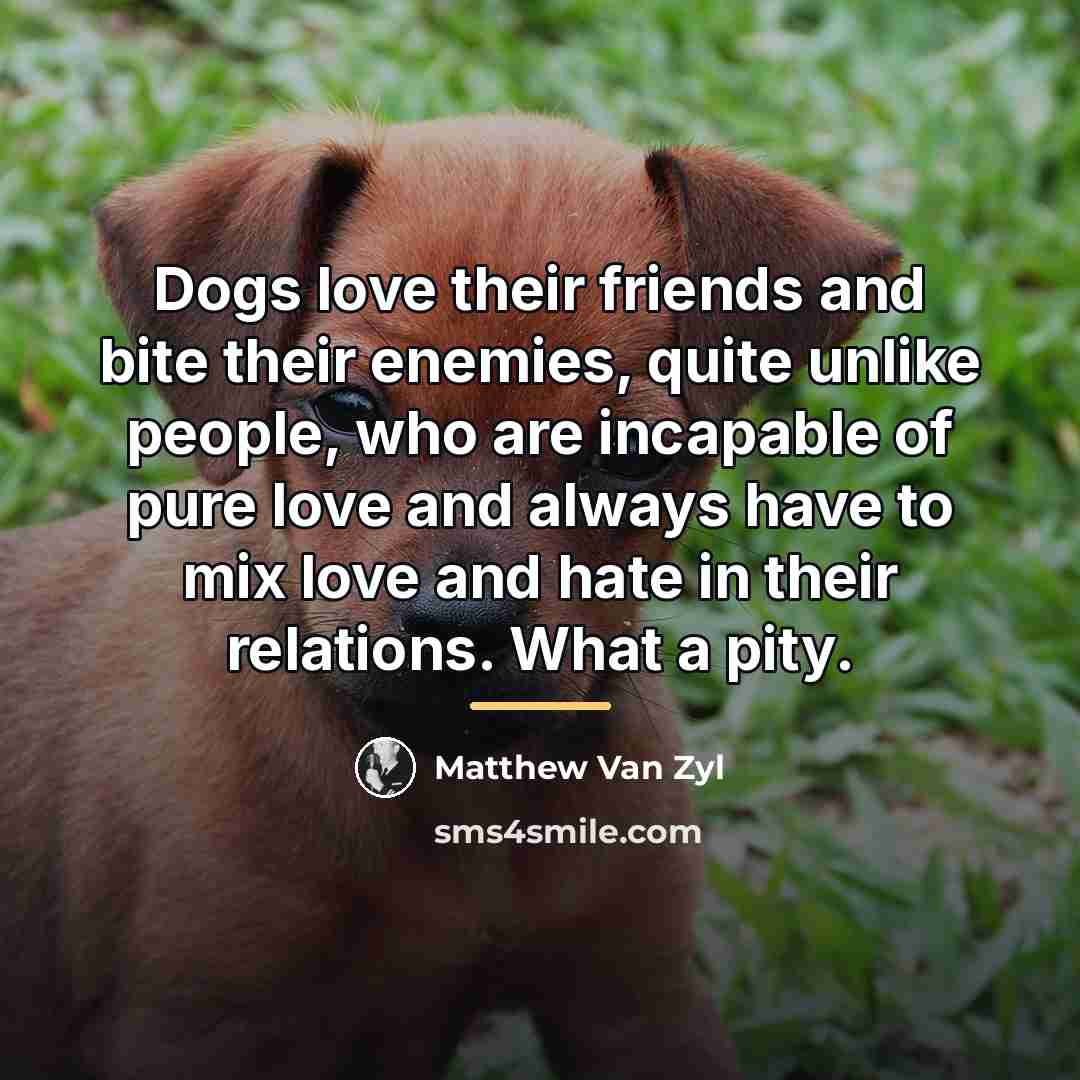 “Dogs love their friends and bite their enemies, quite unlike…” quote by Matthew Van Zyl